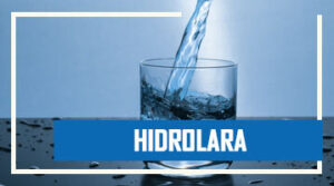 Hidrolara: Número de NIA, Consulta de Saldo y Pago de Facturas de Agua Potable