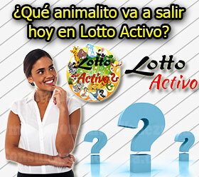 ¿Qué animalito va a Salir Hoy en Lotto Activo?